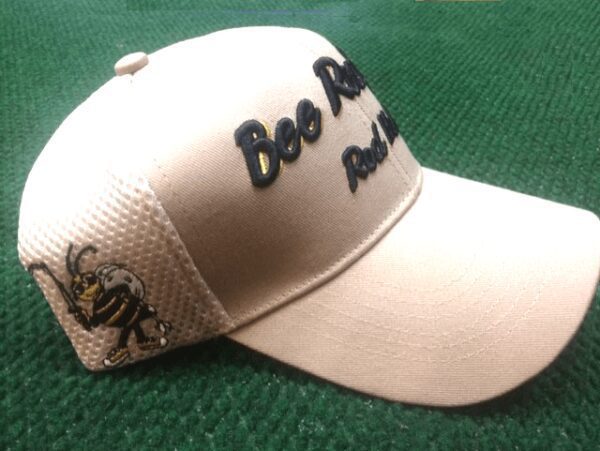 Bee Ready Cap