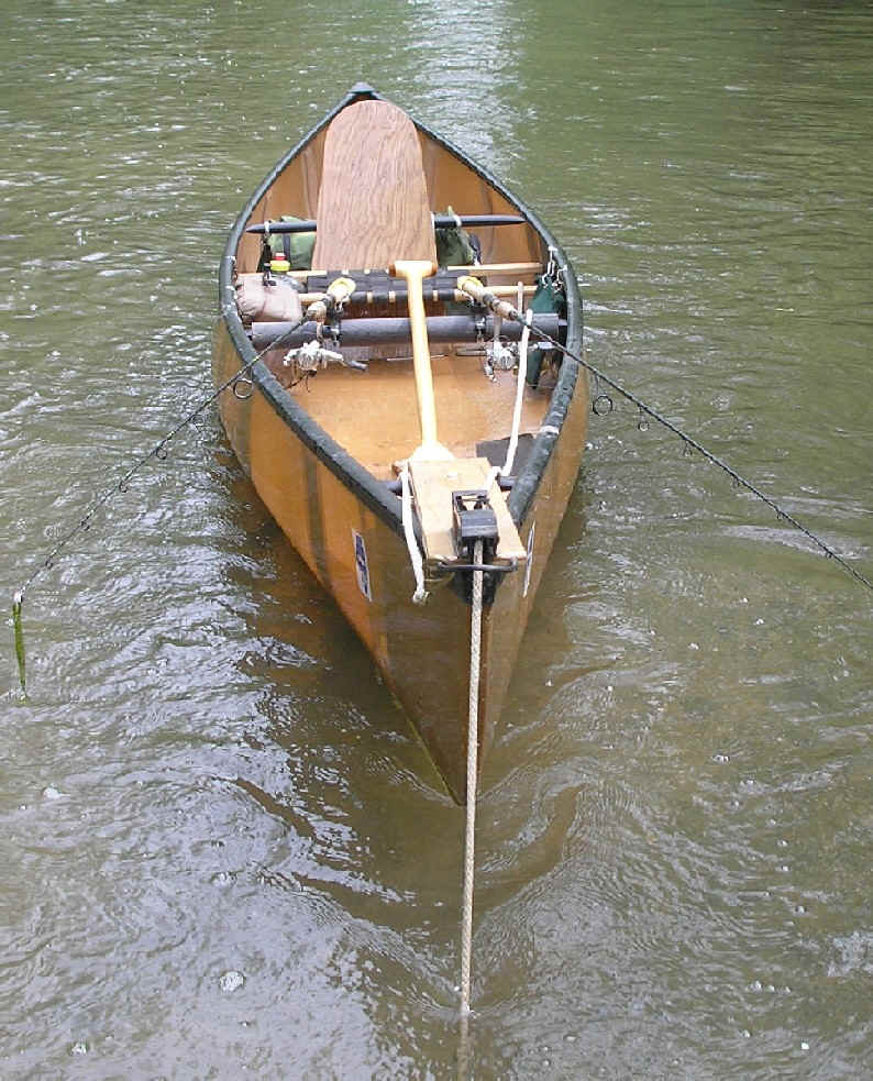 A boat is tied to the shore in shallow water.