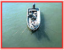 A boat is in the water with fishing rods.